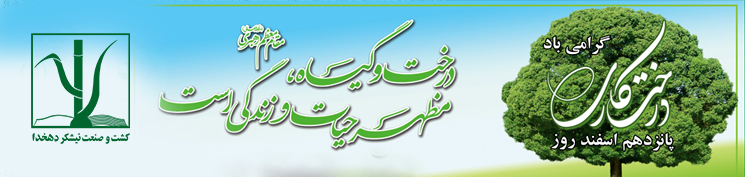درختکاری شرکت دهخدا