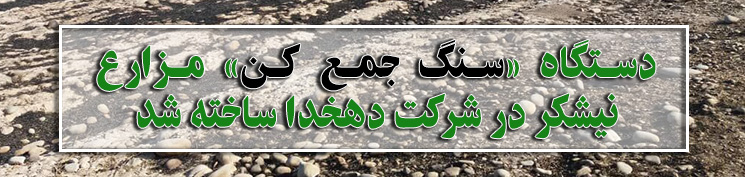 سنگ جمع کن