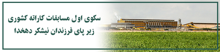 کاراته