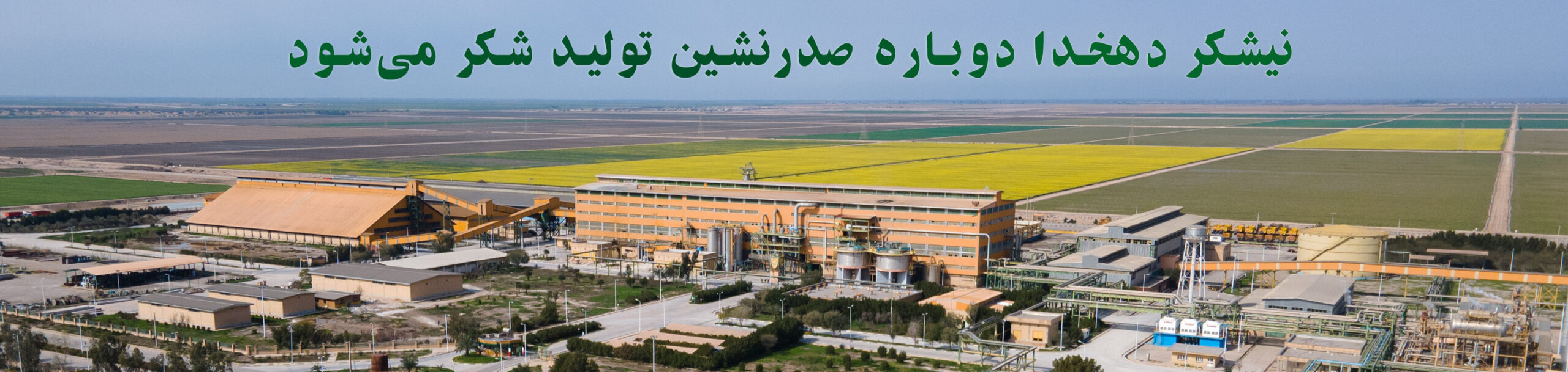 نیشکر-دهخدا-دوباره-صدرنشین-تولید-شکر-می‌شود