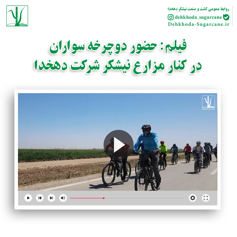 حضور دوچرخه سواران در کنار مزارع نیشکر شرکت دهخدا