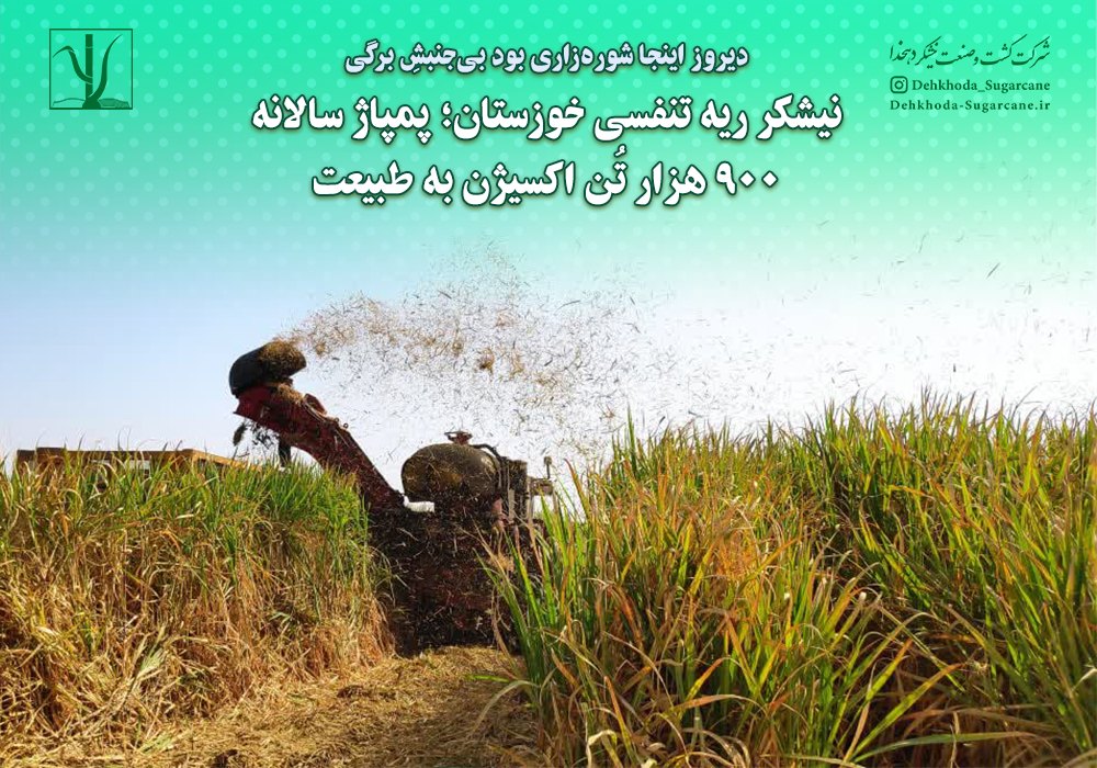 نیشکر ریه تنفسی خوزستان؛ پمپاژ سالانه ۹۰۰ هزار تُن اکسیژن به طبیعت