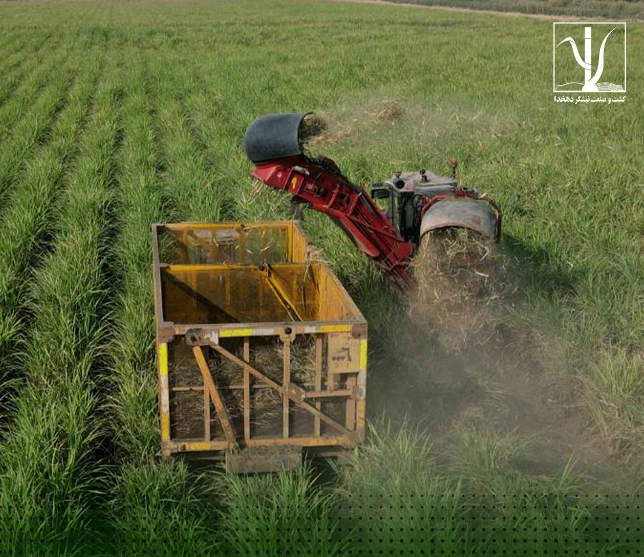 6eaa85a3-70da-4e60-b6df-5565e95ac921 copy