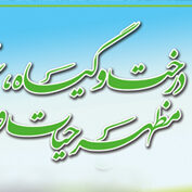 درختکاری شرکت دهخدا