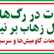 زه-آب-بر-دهخدا