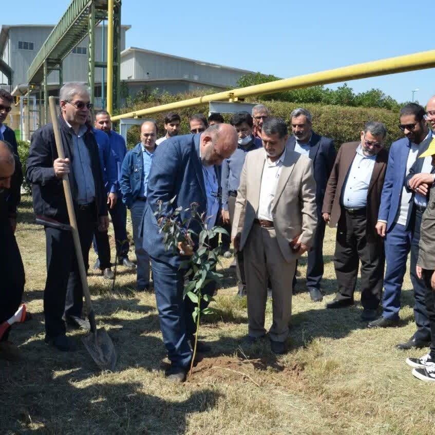 شرکت-خمیرمایه-و-الل-رازی-2