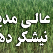 مدیر سال