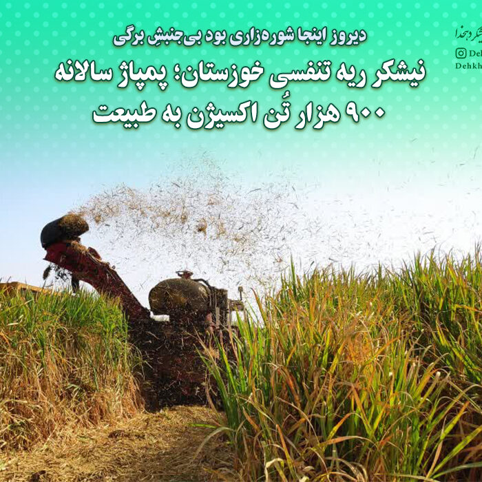 نیشکر ریه تنفسی خوزستان؛ پمپاژ سالانه ۹۰۰ هزار تُن اکسیژن به طبیعت